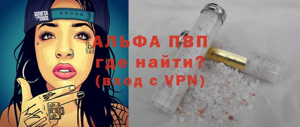 PSILOCYBIN Бородино