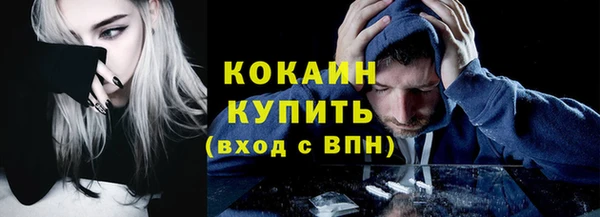 PSILOCYBIN Бородино