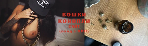 PSILOCYBIN Бородино