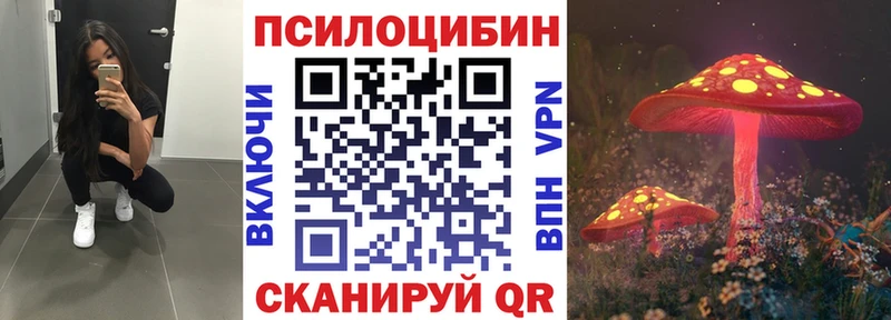 Галлюциногенные грибы Cubensis  мега как зайти  Курск  купить наркотики сайты 